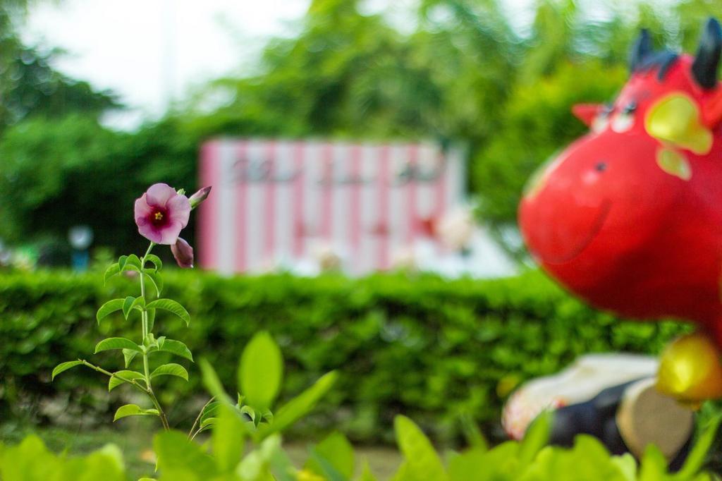 Natural Samui Hotel Bophut Eksteriør billede